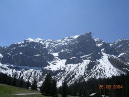 DSCN1226