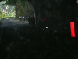 DSCN7385