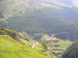 DSCN7392