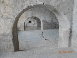 DSCN0033