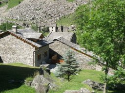 P7020084
