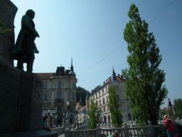 DSCF6178