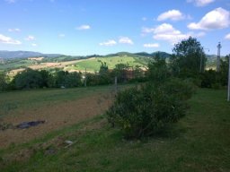 IMG-20150510-WA0012
