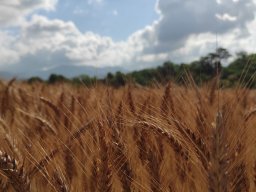 IMG_20220625_090706