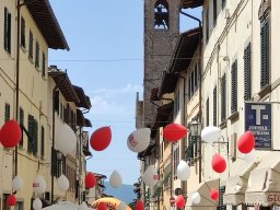 IMG_20220626_113632
